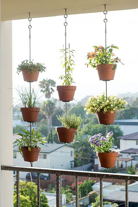 How To Create Vertical Garden For Your Small Balconies | HomeMydesign Apartment Balcony Garden, Plants Hanging, Vertical Garden Design, Balcony Flowers, Vertical Herb Garden, Vertical Garden Diy, Balcony Plants, Diy Porch, Garden Decor Projects