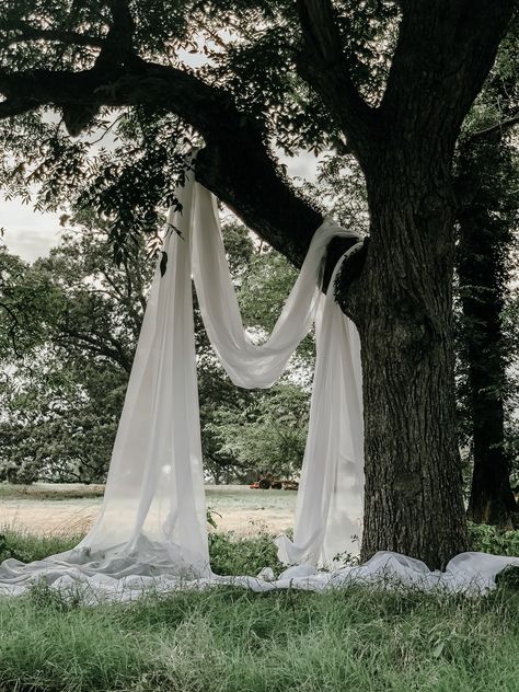 Drapery In Trees Outdoor Weddings, Tree Drapery Wedding, Fabric Ceremony Backdrop, White Backdrop Wedding, Wedding Drapery Ideas, Backyard Wedding Aesthetic, Ceremony Arch Ideas, Wedding Alter, Wedding Altar