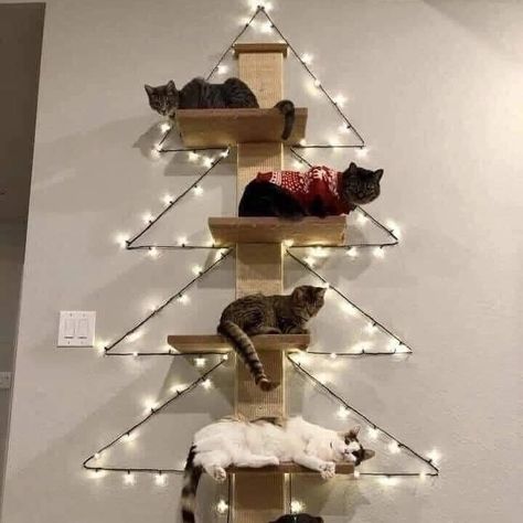 18 Cat Proof Christmas Tree Ideas for a Pet-Friendly Holiday 6 Cat Proof Christmas Tree, Cats And Christmas, Diy Projects For Adults, Christmas Symbols, Christmas Aesthetics, Dog Xmas, Cat Proofing, Cat Christmas Tree, Cat World