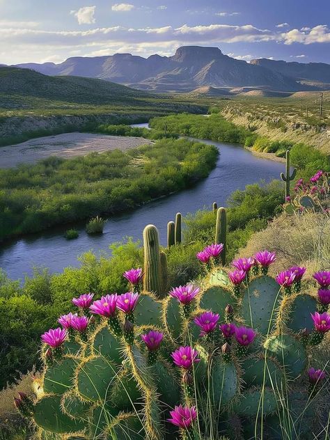 The Rio Grande River, Big Bend, Texas Texas Travel Guide, Big Bend, Texas Travel, Beautiful Nature Scenes, Rio Grande, Nature Scenes, Beautiful Landscapes, Painting & Drawing, Bend