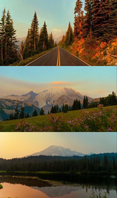 Arte Peculiar, Adventure Aesthetic, Rainier National Park, Places In The World, Beautiful Places In The World, Nature Aesthetic, Pretty Places, Travel Aesthetic, Most Beautiful Places