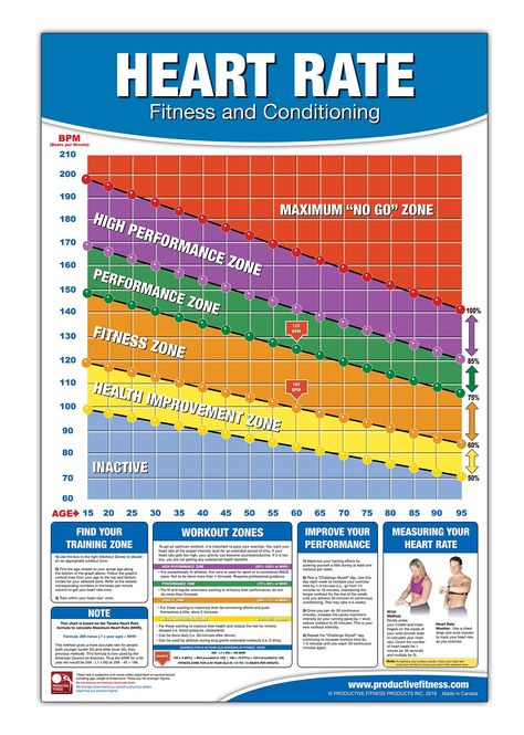 Vital Signs Chart, Heart Rate Chart, Normal Heart Rate, Heart Rate Training, Target Heart Rate, Heart Rate Zones, Workout Posters, Workout Chart, Vital Signs