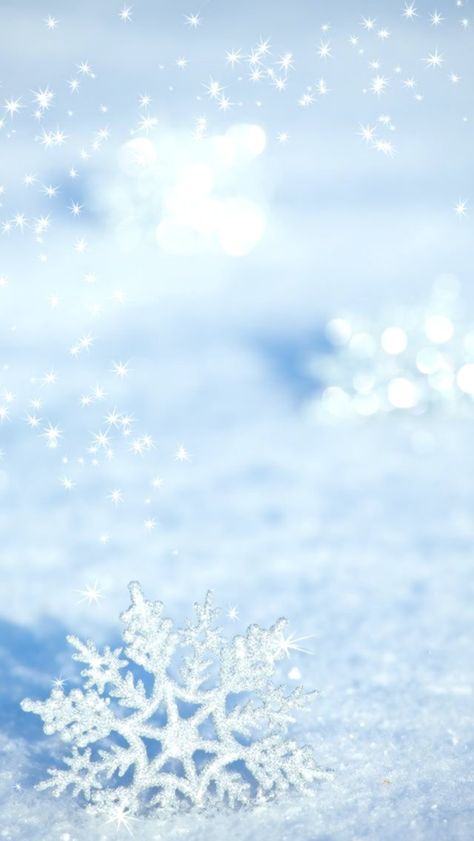 Winter Wonderland Background, Blue Christmas Background, Snowflake Pictures, Aesthetic Christmas Wallpaper, Snowflake Wallpaper, Christmas Branches, Winter Iphone, Iphone Wallpaper Winter, Best Aesthetic