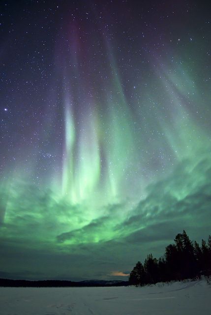 To be absolutely in awe with this - up close and personal... #NorthernLights Northern Lights (aurora Borealis), Aurora Borealis Northern Lights, Sky Full Of Stars, See The Northern Lights, The Aurora, Reykjavik, Photography Pictures, Perfect World, Beautiful Sky