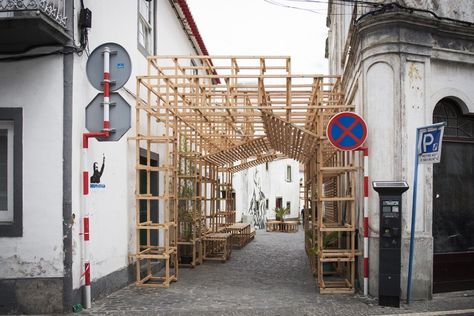 Wooden Scaffolding, Jungle Landscape, Temporary Architecture, Art Intervention, Azores Islands, Urban Intervention, Urbane Kunst, Public Space Design, The Azores