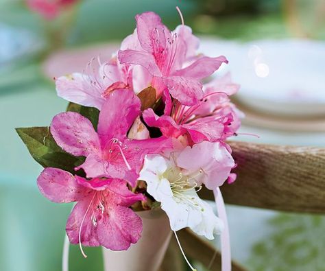 Make it an Encore Wedding! | Encore® Azalea Azalea Wedding, Encore Azaleas, Azalea Color, Azalea Flower, Pink Azaleas, Corsage And Boutonniere, Spring Color Palette, Wedding Palette, Boutonniere Wedding