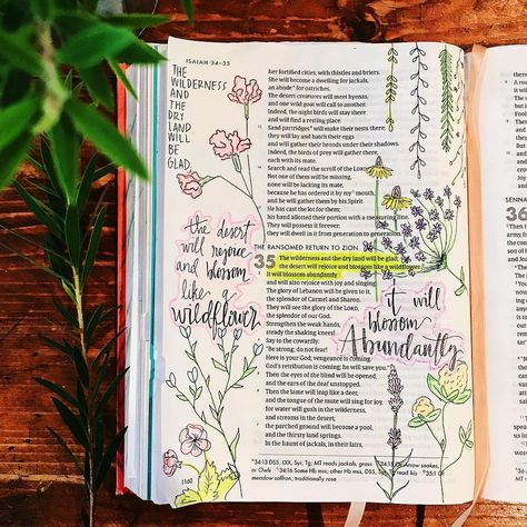 Eliza Price • Bible Journaling on Instagram: “be glad, rejoice & blossom abundantly. 🌼 be a wildflower. •Isaiah 35• #shereadstruth #shereadstruthbible #biblejournaling #biblejournal…” Bible Wildflowers, Isaiah Journaling, Journaling 2024, Be A Wildflower, She Reads Truth Bible, Inspire Bible, Journal Bible, Inspire Bible Journaling, Smash Books