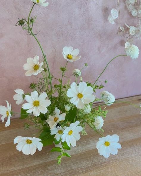 Mandy’s Garden Floral Design on Instagram: "Cosmos and scabiosa, summer is officially here #cosmos #scabiosa #centerpieces #summerflowers #summervibes #summerwedding #weddinginspiration #bayareaflorist" White Cosmo, Cosmos Flowers, Wedding Expo, Rose Arrangements, Flower Wedding, Wedding Florals, June 21, Flower Pins, Summer Flowers