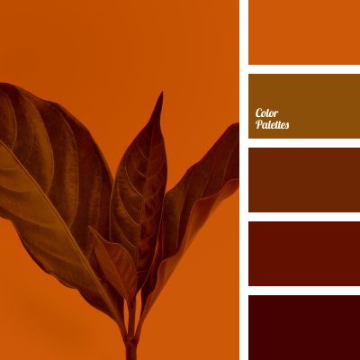 Color Palette #4420 Brown Contrast Color Schemes, In Color Balance, Terracotta Color Palette, Cheerful Quotes, Palettes Color, Color Palette Ideas, Wall Living Room, Colour Contrast, Staircase Decor