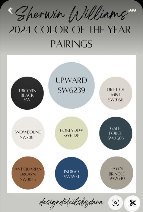 Sherwin Williams Upward Paint, Upward Paint Color, Sherwin Williams Upward, Paint Color Of The Year, Color Of The Year 2024, Paint Trends, Trending Paint Colors, Paint Color Inspiration, Sherwin Williams Colors