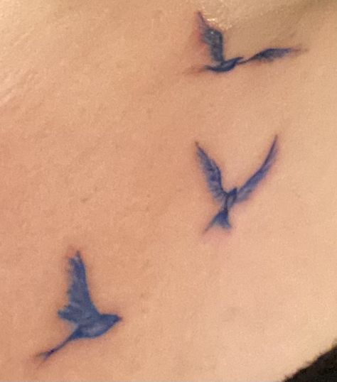 My new bird tattoo is beautiful. Bluebirds Tattoo, Bird Flock Tattoo, Blue Birds Tattoo, Tiny Bird Tattoo, Small Bluebird Tattoo, Flying Birds Tattoo, Tiny Bluebird Tattoo, Dainty Bluebird Tattoo, Tattoo Birds