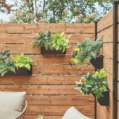 Lowe’s Canada on Instagram: "From gazebos and pergolas, to hedges and privacy fences, discover all the ways to create a secluded backyard. • 7 Ideas for backyard privacy in our bio. • #patio #backyard #gazebo #fences #summer #patioideas #backyardprivacy #secludedbackyard #pergolas" Privacy Wall On Deck With Plants, Patio Privacy Wall Ideas, Privacy Wall Ideas, Patio Privacy Wall, Secluded Backyard, Cheap Privacy Fence, Diy Driveway, Cottage Patio, Diy Privacy Screen