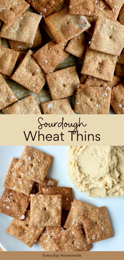 Elevate your snacking game with our Sourdough Wheat Thins – the best way to use sourdough discard! This easy and quick recipe, perfect for beginners, combines the goodness of whole wheat with the tangy flavor of sourdough starter. With a hint of butter and Greek yogurt, enjoy a healthy and satisfying treat that's both easy to make and delicious. Say goodbye to store-bought and savor the crunch of homemade wheat thins that make the most of your sourdough discard. Sourdough Wheat Thins, Whole Wheat Sourdough Discard Recipes, Whole Wheat Crackers Recipe, Wheat Crackers Recipe, Sourdough Discard Crackers, Discard Crackers, Homemade Sourdough Bread Recipes, Sourdough Crackers, Recipe Using Sourdough Starter