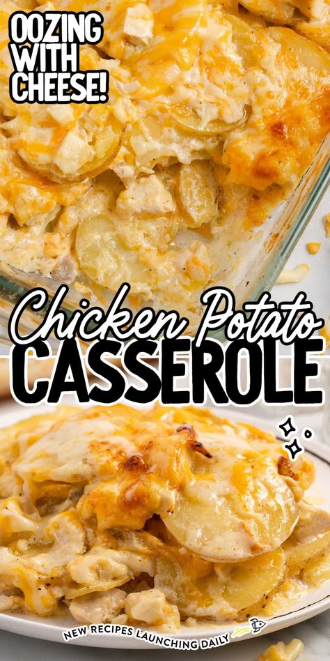 Chicken Potato Casserole Cheesy Chicken Potatoes, Rotisserie Chicken And Potatoes Recipes, Chicken Potato Casserole Recipes, Fast Chicken Dinner Recipes, Rotisserie Chicken And Potatoes, Leftover Baked Chicken Recipes, Chicken And Scalloped Potatoes, Creamy Chicken Potato Casserole, Potato And Chicken Recipes