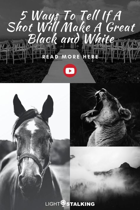 5 Ways To Tell If A Shot Will Make A Great Black and White Black And White Photography Ideas, Photoshop Black And White, Photography 2023, Photography Training, Digital Photography Lessons, Photography Essentials, Camera Tips, Building Photography, Photo Lens