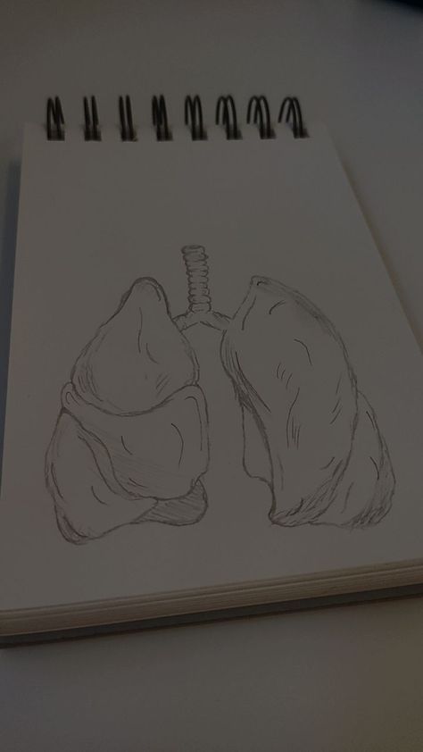 Lungs Sketch Drawing, Easy Medical Drawings, Unhealthy Lungs Drawing, Organ Drawings Art, How To Draw Lungs, Lungs Drawing Aesthetic, Human Heart Drawing Aesthetic, Brain Sketch Simple, Heart And Lungs Drawing