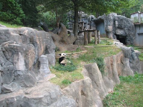 Zoo Exhibit Design, Panda Enclosure, Zoo Enclosures, Asian Forest, Forest Giant, Zoo Exhibit, Zoo Atlanta, Zoo Inspiration, Zoo Map