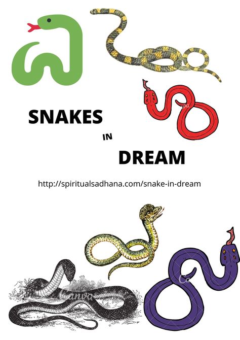 Snake Meaning, Yellow Snake, Boa Constrictor, Snake Bites, Dream Meanings, Dream Interpretation, The Dream, Snakes, All In One