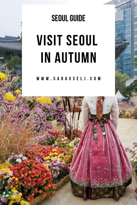 Seoul In November, Seoul November, Fall In Seoul, Autumn Outfits In Korea, Visit South Korea, Travel Seoul, Female Traveller, Autumn In Korea, Travel South Korea