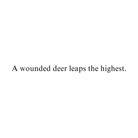 deer quote by {fairytale asylum} ❤ liked on Polyvore featuring text, quotes, words, fillers, sayings, phrase and saying Deer Quotes Inspiration, Deer Poetry, Hunt Quotes, Deer Quotes, Mary Shelley Quotes, Canine Poetry, Hunter Quote, Dog Poetry, Deer Hunters