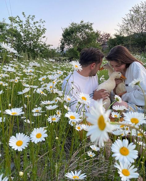 Pet Photo Ideas, Aesthetic Shop, Holding Flowers, Couples Poses For Pictures, Couple Drawings, Pose Reference Photo, Couple Aesthetic, Flower Field, Love Images