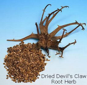 Some of the benefits & uses of Devil's Claw ~ Common Names for this plant include:  Devil's Claw, grapple plant, wood spider  _ via OrganicNutrition.co.uk/products/indherbs/herb-devilsclaw.htm Devils Claw, Wood Spider, Agnus Castus, Healing Plants, Herbs For Health, Land Of Enchantment, Parts Of A Plant, Natural Diy, Healing Herbs