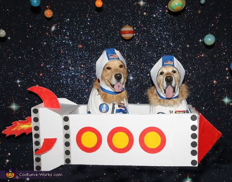 Astronauts Costume, Astronaut Halloween Costume, Astronaut Halloween, 2017 Halloween Costumes, The Astronauts, Astronaut Costume, Easy Diy Costumes, Homemade Costume, Costume Works