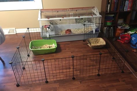 Amazon.com : Tespo Pet Playpen, Small Animal Cage Indoor Portable Metal Wire yd Fence for Small Animals, Guinea Pigs, Rabbits Kennel Crate Fence Tent, Black 12 Panels : Pet Supplies Bunny Hutch Indoor, Diy Bunny Cage, Indoor Rabbit House, Indoor Rabbit Cage, Pet Playpens, Bunny Cage, Rabbit Habitat, Puppy Pens, Cages For Sale