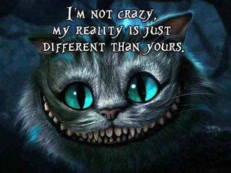 I got: I'm not crazy, my reality is just different than yours.! What Is Your Disney Quote? Cheshire Cat Quotes, Barbie Quotes, Patience Quotes, Alice And Wonderland Quotes, Wonderland Quotes, Im Crazy, Cat Quotes, Cheshire Cat, Disney Quotes