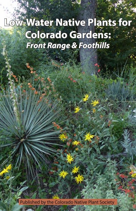 Colorado Native Plants, Native Plant Landscaping, Colorado Landscaping, Colorado Gardening, Pollinator Garden Design, Xeriscape Front Yard, Low Maintenance Landscaping Front Yard, Native Plant Landscape, Xeriscape Landscaping