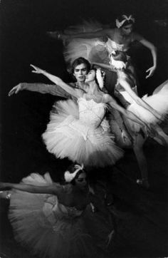 Margot Fonteyn, Grey Scale, Rudolf Nureyev, Ballet Beauty, Russian Ballet, Classical Ballet, Ballet Photography, Ballet Beautiful, Modern Dance