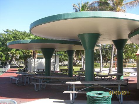 Crandon Park- this is where we would sit for lunch during field trips. Drive Inn Movies, Hialeah Florida, Crandon Park, Southern Things, Florida Pictures, Miami Photos, Key Biscayne, Picnic Tables, Skating Rink