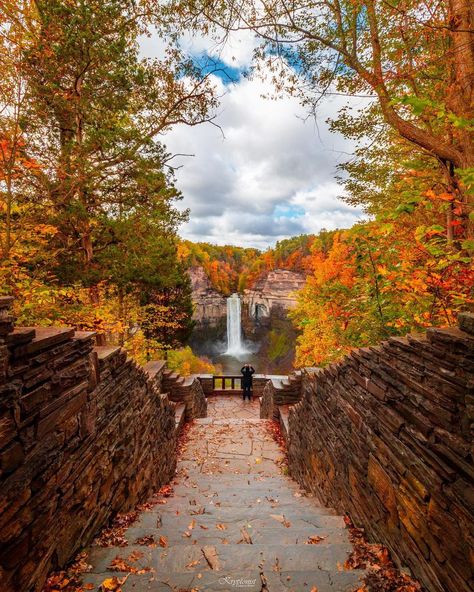 Taughannock Falls State Park In... - Awesome Places To Travel Taughannock Falls, New York State Parks, Park In New York, Scenic Byway, Beautiful Autumn, Fall Travel, Glacier National Park, Fall Photos, Fall Foliage