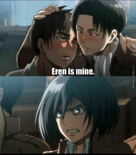 Attack On Titan Meme, Desenhos Love, Attack On Titan Comic, Attack On Titan Ships, Attack On Titan Funny, Pokemon Fusion, Team Rocket, Attack On Titan Levi, Sailor Mars