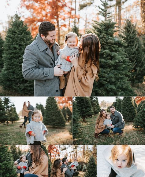 Fall Family Photos Tree Farm, Neutral Tree Farm Family Photos, Christmas Tree Farm Set Up, Tree Farm Photoshoot Family, Christmas Tree Minis, Tree Farm Photos, Christmas Tree Lot Photoshoot, Christmas Tree Farm Family Photos Outfit, Christmas Tree Farm Photo Shoot Outfits