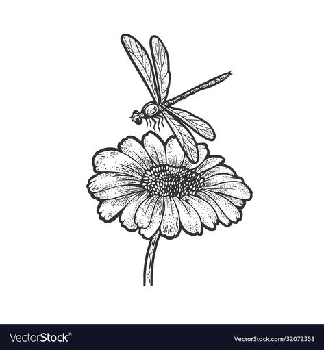 Daisy With Dragonfly Tattoo, Dragonfly On Flower Drawing, Dragonfly Daisy Tattoo, Daisy And Dragonfly Tattoo, Daisy Flower Sketch, Dragonfly Abstract, Drawing With Flowers, Moon Line Art, Dragonfly Vector