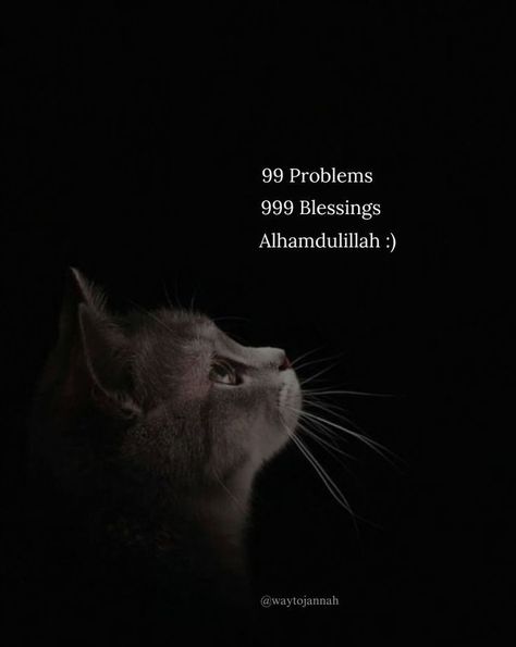 Happy Birthday Cat, Alhamdulillah For Everything, Birthday Cat, 99 Problems, Instagram Frame Template, Happy Birthday To Me, Instagram Frame, Cat Quotes, Frame Template