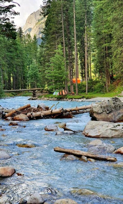 Kumrat Valley 
#kumratvalley #Kumrat #kpk Pakistan Tourism Places, Beautiful Places Of Pakistan, Kashmir Wallpaper Hd, Pakistan Vibes, Beautiful Places In Pakistan, Pakistan Landscape, Pakistan Nature, Saraswati River, Kumrat Valley