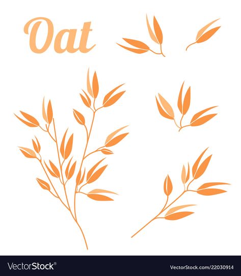 Oatmeal Packaging, Oat Groats, Crop Production, Agriculture Industry, Geometry Pattern, Plant Illustration, Design Vector, Graphic Design Posters, Branding Design Logo