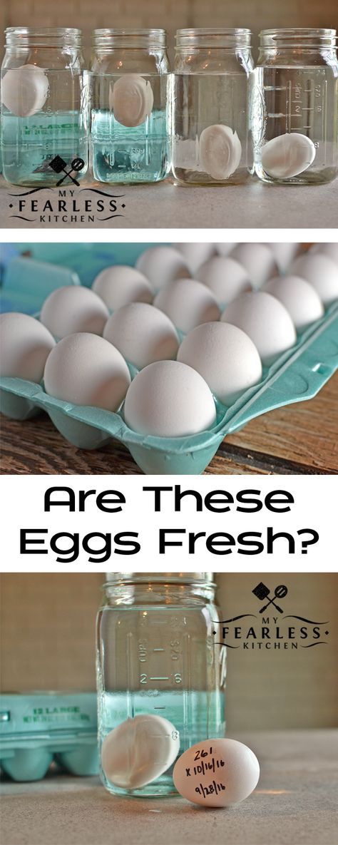 Are These Eggs Fresh? from My Fearless Kitchen. Have you ever wondered how old those eggs in your refrigerator are? You can quickly and easily test eggs for freshness, and never wonder again! Plus, get some great recipes for cooking with eggs! Check Eggs For Freshness, Egg Test, Egg Dish, Food Facts, Fresh Eggs, Hormone Imbalance, Breakfast Time, How To Cook Eggs, How Old