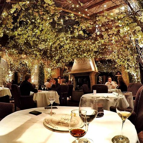 Clos Maggiore London, Gin Garden, Luxurious Restaurant, Luxury Restaurant Interior, Garden Room Ideas, Restaurant London, Romantic Restaurants, Daniel Seavey, Romantic Restaurant