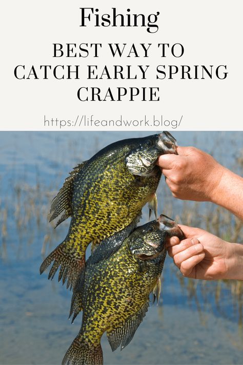 Fishing Pond Ideas, Crappie Rigs, Beginner Fishing, Colors For Painting, Michigan Fishing, Kayak Fishing Setup, Recreation Activities, Best Fishing Lures, Fishing Tricks