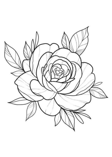 Tiny Rose Tattoo, Rose Outline Tattoo, Little Rose Tattoos, Flower Tattoo Stencils, Peony Flower Tattoos, Rose Tattoo Stencil, Rose Drawing Tattoo, Rose Stencil, Flower Tattoo Drawings