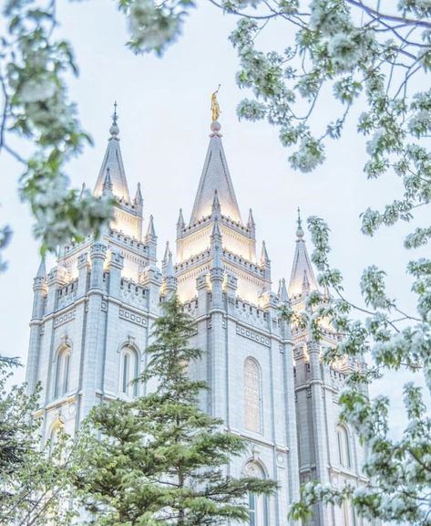 Salt Lake Temple Wallpaper, Lds Dresses, Lds Wedding Photos, Lds Aesthetic, Temples Lds, Ctr Ring, Jesus Wallpapers, Lds Temple Art, Lds Temple Pictures