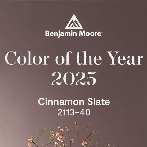 Architect land | Interior | Dubai 🇦🇪 on Instagram: "An hour ago on October 16, 2024, Benjamin Morand Co., as an American chemical company based in Montville, New Jersey, USA, active in the field of paint and surface coatings, has announced the #color_of_the_year_2025 in a press release.
Cinnamon Slate 2113-40

@benjaminmoore

In a short explanation about this color, it is stated as follows: With the color of 2025, quietly embrace the beauty of colorful colors, a delicate combination of plum and velvety brown colors.

Andrea Magno, director of marketing and color development at Benjamin Moore Company, says about the #color_of_the_year_2025

As the use of saturated colors in design has increased in recent years, we are seeing a growing interest in more subtle colors.

Also, one of the thin 2025 Color Of The Year, Cinnamon Slate, Trending Paint Colors, Benjamin Moore Colors, Girls Bathroom, Paint Colours, Saturated Color, Benjamin Moore, Color Of The Year