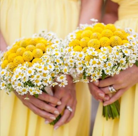 Yellow Bridal Bouquet, Yellow Wedding Colors, Wedding Yellow, Yellow Bouquets, Blue Wedding Flowers, Country Chic Wedding, Mint Wedding, White Wedding Flowers, Spring Bouquet