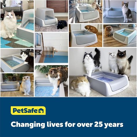 PetSafe ScoopFree Complete Plus Self-Cleaning Cat Litter Box with Front-Entry Hood - Never Scoop Litter Again - Hands-Free With Included Disposable Crystal Tray - Less Tracking, Better Odor Control #affiliate Automatic Litter Box, Single Cat, Self Cleaning Litter Box, Cleaning Litter Box, Cat Litter Tray, Crystal Cat, Solid Waste, Litter Tray, Smart Wifi