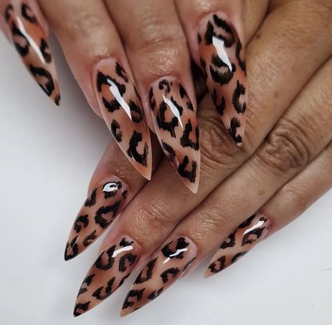 Black And White Leopard Nails, Leopard Print Nail Designs, Zebra Print Nail Art, Animal Print Nail Designs, Leopard Print Nail, Stiletto Shaped Nails, Subtle Nail Art, Print Nail Art, Zebra Print Nails