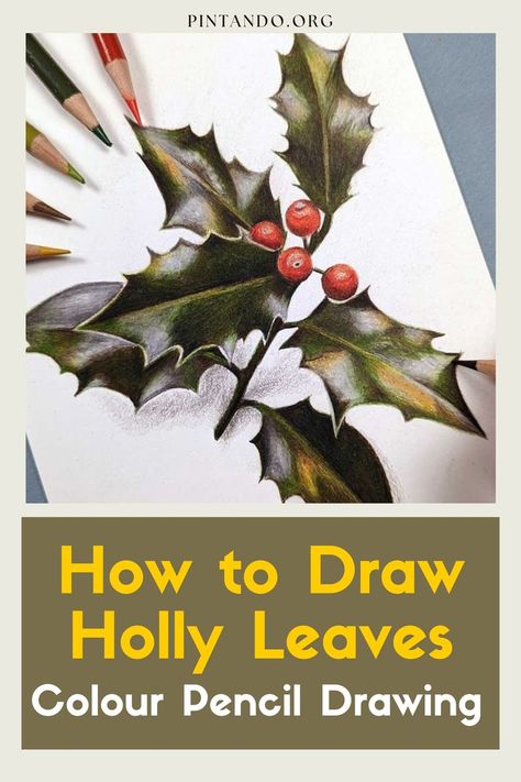 Discover the magic of the season with our exclusive "How to Draw Holly Leaves: Colour Pencil Drawing" tutorial! Dive into the enchanting world of holiday artistry as we guide you step-by-step through creating vibrant holly leaves with colored pencils. Elevate your artistic skills and infuse your creations with festive charm. Ready to bring your drawings to life? Join us on this creative journey! In this video tutorial, we'll delve into the enchanting world of holly leaves, exploring the delicate Draw Holly Leaves, Colour Pencil Drawing Tutorial, Pencil Drawing Tutorial, Holly Flower, Colour Pencil Drawing, Christmas Card Tutorials, Pencil Drawings For Beginners, Pencil Drawing Tutorials, Drawing Flowers