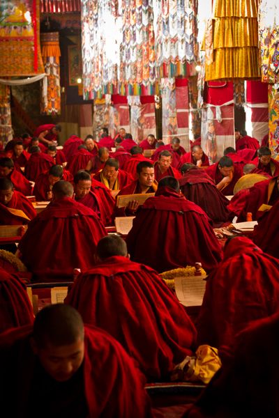 Tibetan Monk, Buddhist Monks, World Religions, Buddhist Monk, Tibetan Buddhism, Nature Wildlife, Tibetan Buddhist, South Asia, Dalai Lama